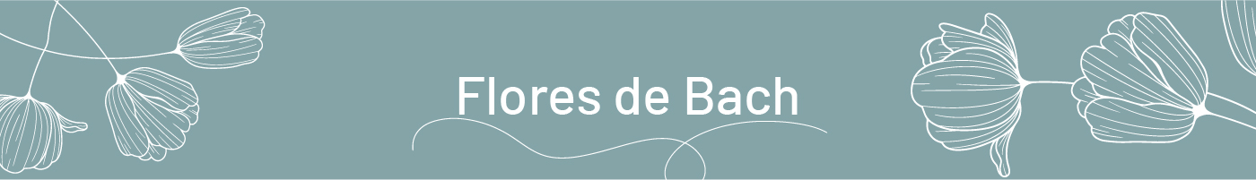 banners_categoria_flores_de_bach